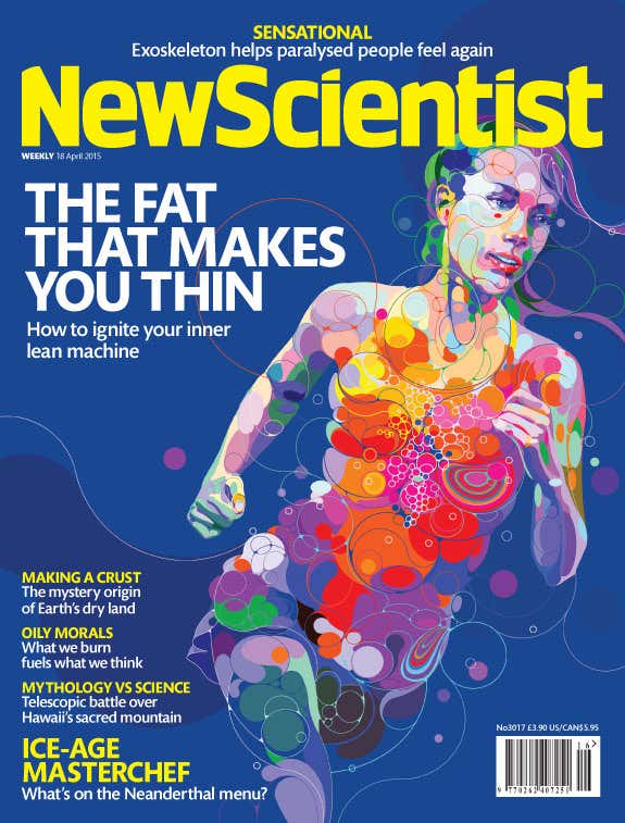 New Scientist issue 3017 cover