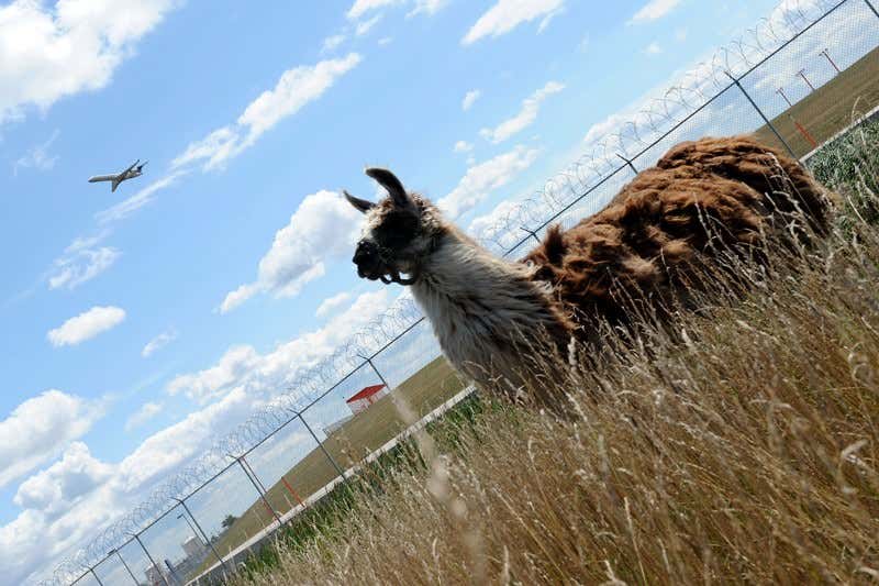 New Scientist. Science news and long reads from expert journalists, covering developments in science, technology, health and the environment on the website and the magazine.