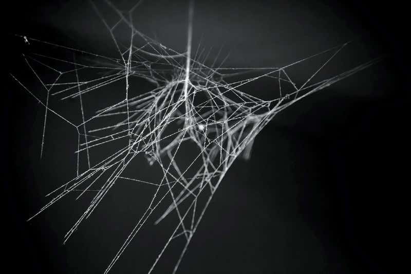 New Scientist. Science news and long reads from expert journalists, covering developments in science, technology, health and the environment on the website and the magazine.