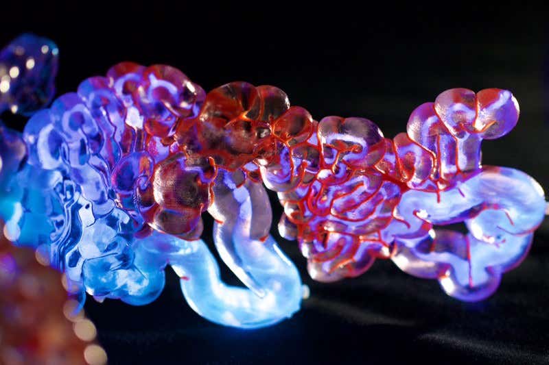 Intestine-inspired 3D printed fashion will hold glowing bacteria