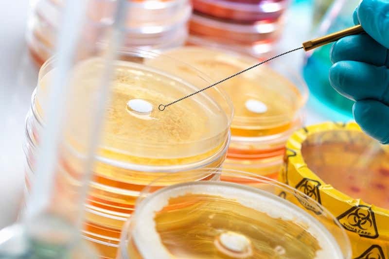 New Scientist. Science news and long reads from expert journalists, covering developments in science, technology, health and the environment on the website and the magazine.