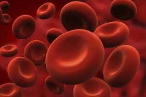 Young blood helps repair fractured bones of ageing mice