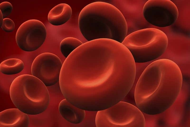 New Scientist. Science news and long reads from expert journalists, covering developments in science, technology, health and the environment on the website and the magazine.