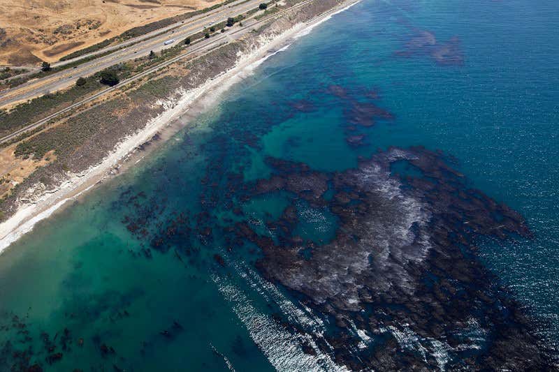 New Scientist. Science news and long reads from expert journalists, covering developments in science, technology, health and the environment on the website and the magazine.