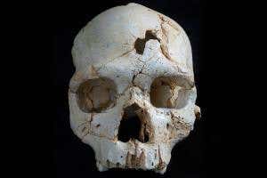 CSI Stone Age: was 430,000-year-old hominin murdered?