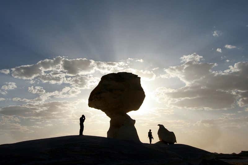 New Scientist. Science news and long reads from expert journalists, covering developments in science, technology, health and the environment on the website and the magazine.