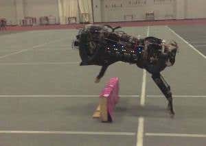 Free-running cheetah robot clears hurdles in a single bound