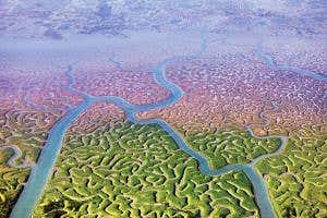 If our planet had a brain, it might look something like this