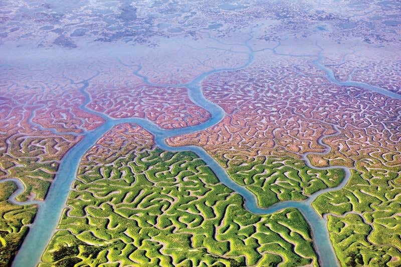 New Scientist. Science news and long reads from expert journalists, covering developments in science, technology, health and the environment on the website and the magazine.