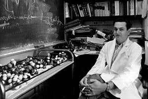 The <i>Least Likely Man</i> celebrates a genetic-code-breaking genius