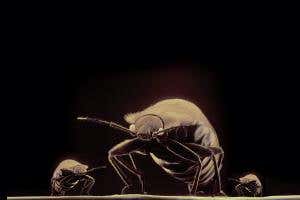 Rosetta's real revolution is right here on Earth