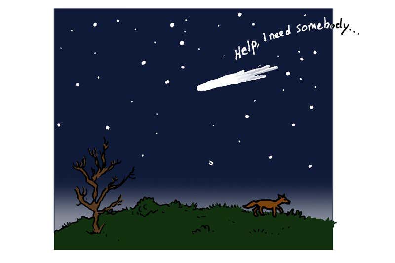 New Scientist. Science news and long reads from expert journalists, covering developments in science, technology, health and the environment on the website and the magazine.