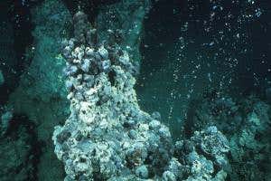 Rock-forming microbes may be suited for life on other planets