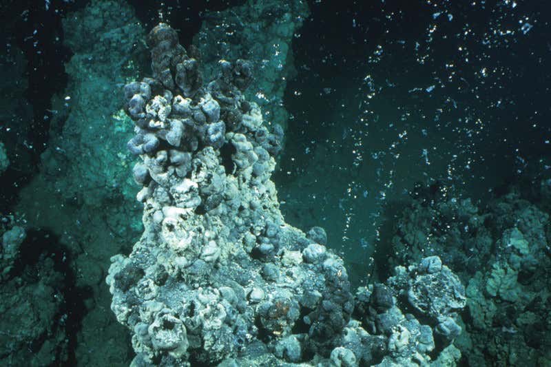 New Scientist. Science news and long reads from expert journalists, covering developments in science, technology, health and the environment on the website and the magazine.