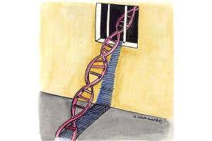 Amanda Knox legal fight highlights fallibility of DNA forensics