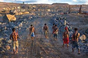 <i>Mixed Messages</i>: Are our genes and culture at cross purposes?