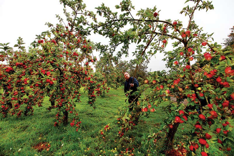 New Scientist. Science news and long reads from expert journalists, covering developments in science, technology, health and the environment on the website and the magazine.