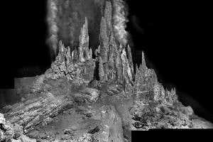 Life at Faulty Towers carries on despite being deep underwater