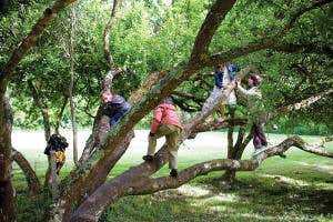 Good looking: How time outdoors could protect kids' eyesight