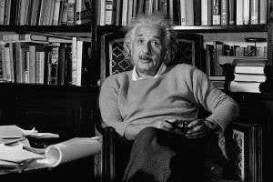 Einstein and Schrödinger: The price of fame