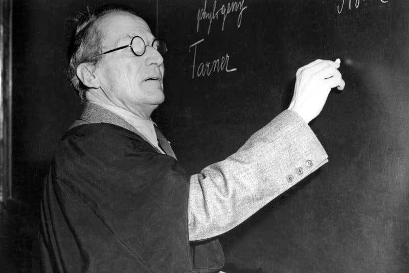 Einstein and Schrödinger: The price of fame