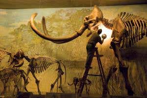 <i>How to Clone a Mammoth</i>: But should we?