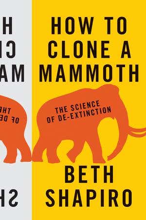 How to Clone a Mammoth: But should we?