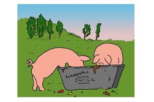 Feedback: Do Brussels bureaucrats impose quackery? Guess!