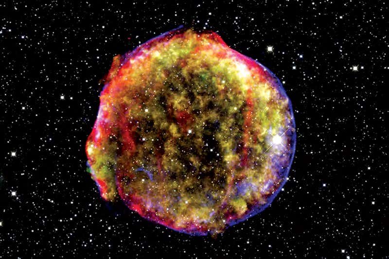 New Scientist. Science news and long reads from expert journalists, covering developments in science, technology, health and the environment on the website and the magazine.