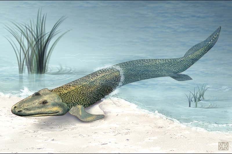 New Scientist. Science news and long reads from expert journalists, covering developments in science, technology, health and the environment on the website and the magazine.