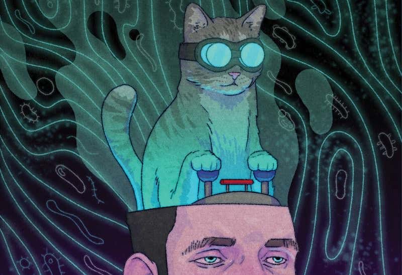 New Scientist. Science news and long reads from expert journalists, covering developments in science, technology, health and the environment on the website and the magazine.