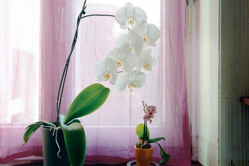 New Scientist. Science news and long reads from expert journalists, covering developments in science, technology, health and the environment on the website and the magazine.