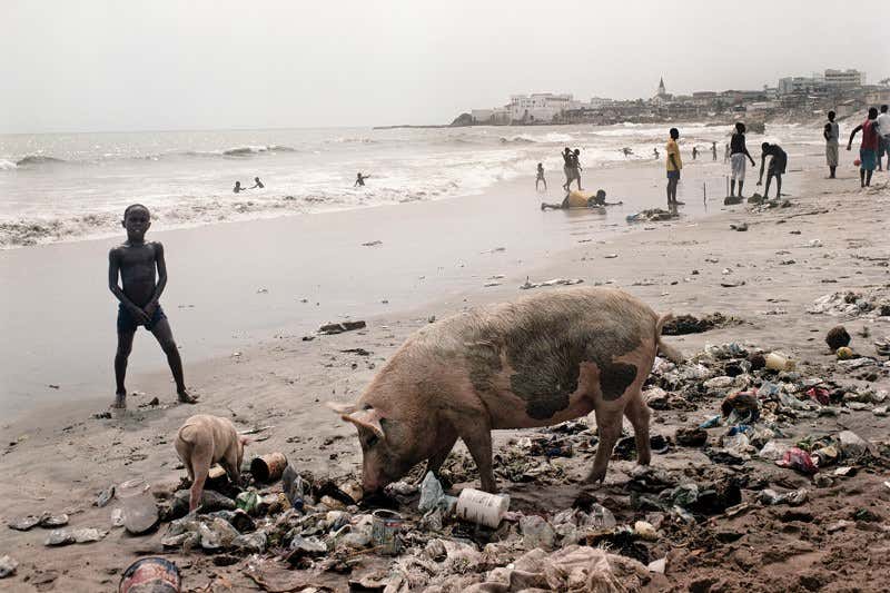 New Scientist. Science news and long reads from expert journalists, covering developments in science, technology, health and the environment on the website and the magazine.