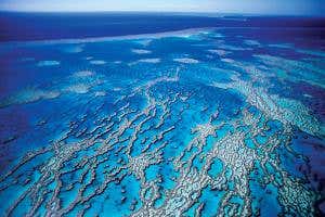 UNESCO edges closer to declaring Great Barrier Reef ‘in danger'