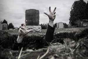 Hoax spotter finds a quarter of everything on Twitter is false