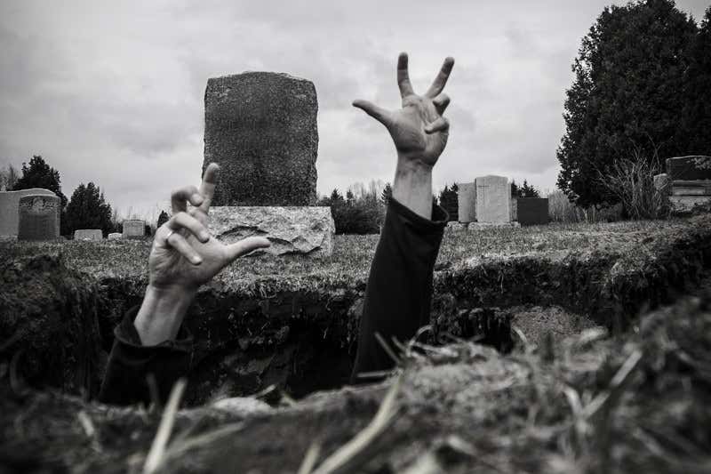 New Scientist. Science news and long reads from expert journalists, covering developments in science, technology, health and the environment on the website and the magazine.