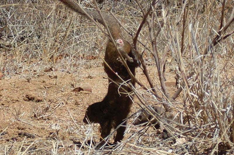 New Scientist. Science news and long reads from expert journalists, covering developments in science, technology, health and the environment on the website and the magazine.