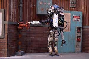 Thrills and spills as world's best robots take each other on