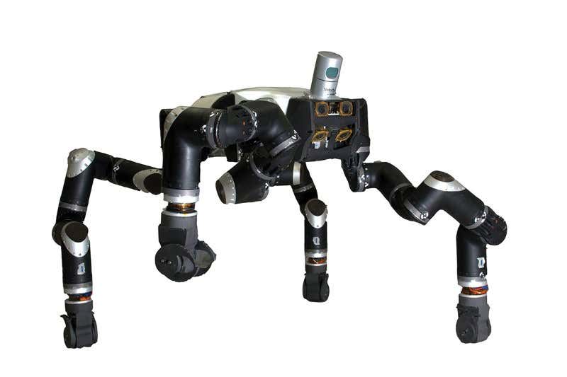 Thrills and spills as world's best robots take each other on