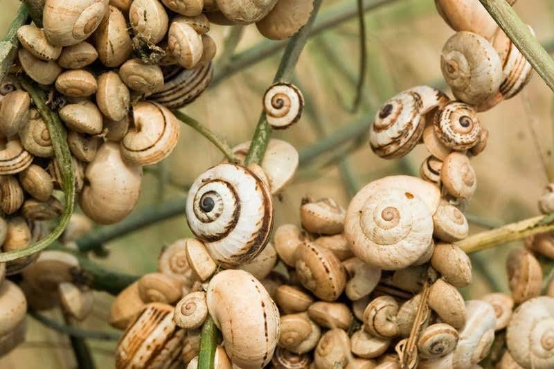 New Scientist. Science news and long reads from expert journalists, covering developments in science, technology, health and the environment on the website and the magazine.