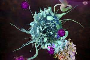 Some people can resist the ravages of HIV – here's how