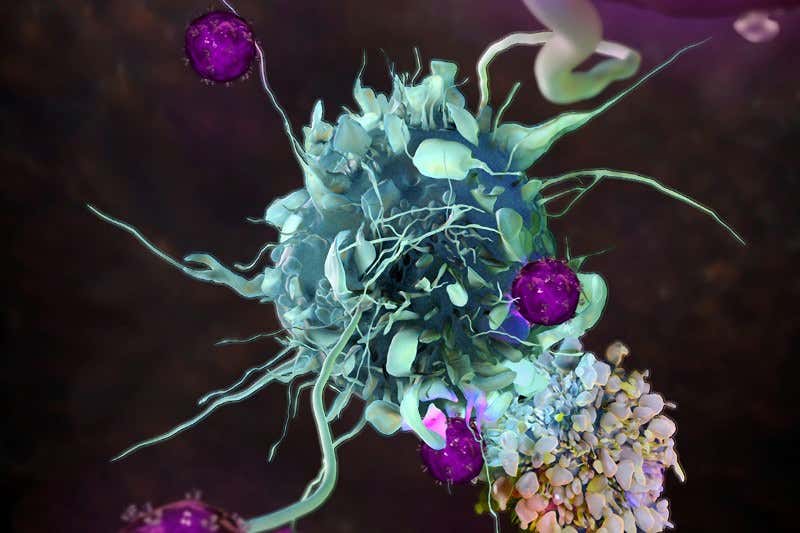 New Scientist. Science news and long reads from expert journalists, covering developments in science, technology, health and the environment on the website and the magazine.