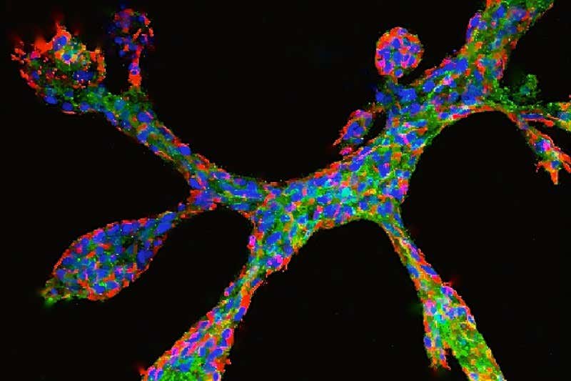 New Scientist. Science news and long reads from expert journalists, covering developments in science, technology, health and the environment on the website and the magazine.