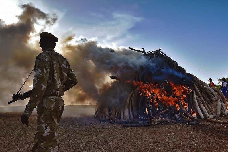 New Scientist. Science news and long reads from expert journalists, covering developments in science, technology, health and the environment on the website and the magazine.