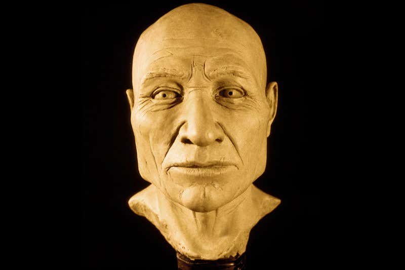 New Scientist. Science news and long reads from expert journalists, covering developments in science, technology, health and the environment on the website and the magazine.