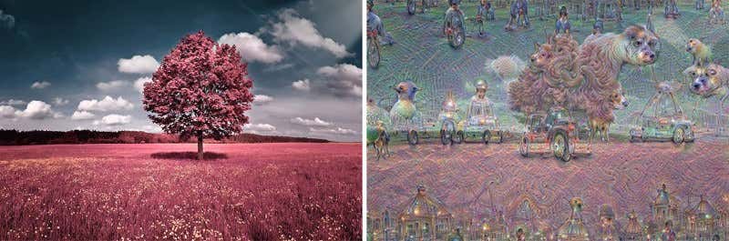 New Scientist. Science news and long reads from expert journalists, covering developments in science, technology, health and the environment on the website and the magazine.