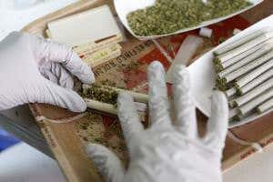 Medical marijuana offers only weedy health benefits