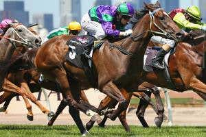 Selection for a 'speed gene' behind increase in racehorse speed