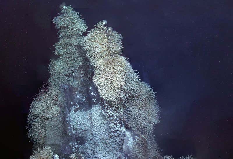 New Scientist. Science news and long reads from expert journalists, covering developments in science, technology, health and the environment on the website and the magazine.