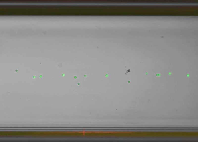 New Scientist. Science news and long reads from expert journalists, covering developments in science, technology, health and the environment on the website and the magazine.
